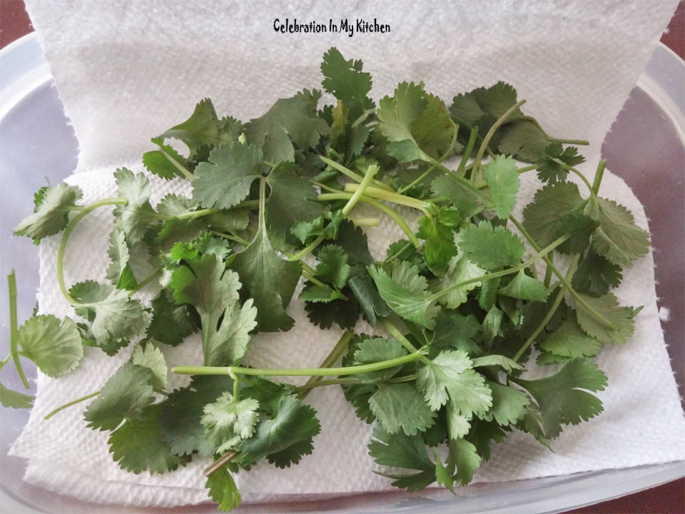 How To Preserve Coriander Leaves or Cilantro | How to Store Coriander Leaves  or Cilantro - Celebration In My Kitchen | Goan Food Recipes, Goan Recipes