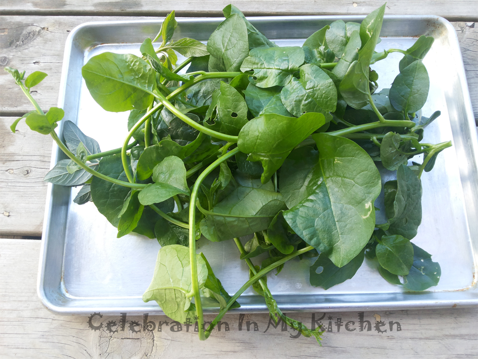 Malabar Spinach (Valchi or Vauchi Bhaji)